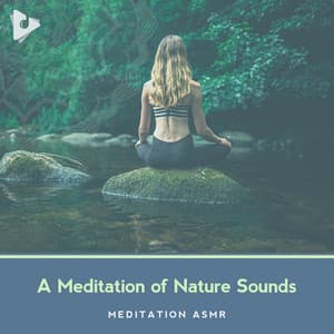 A Meditation of Nature Sounds - Meditation ASMR