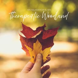 Therapeutic Woodland - Spa Relaxation & Spa