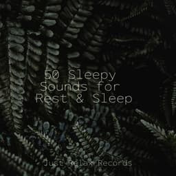 50 Sleepy Sounds for Rest & Sleep - Sleep Music Lullabies