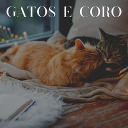 Gatos e Coro - Musica para Gatos