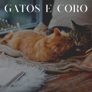 Gatos e Coro - Musica para Gatos