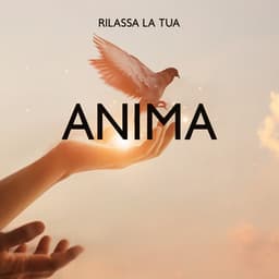 Rilassa la tua anima: Musica spirituale per momenti di relax e pensiero positivo - Musica Relax Academia