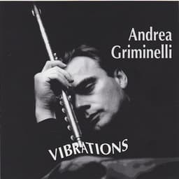 Vibrations - Andrea Griminelli