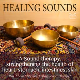 Healing Sounds - Sound Therapy, Strengthening the Health of Heart, Stomach, Intestines, Skin - Torsten Abrolat