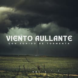 Viento Aullante Con Sonido De Tormenta Vol. 1 - Sonidos de tormenta de lluvia