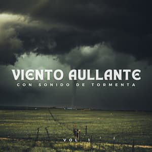 Viento Aullante Con Sonido De Tormenta Vol. 1 - Sonidos de tormenta de lluvia