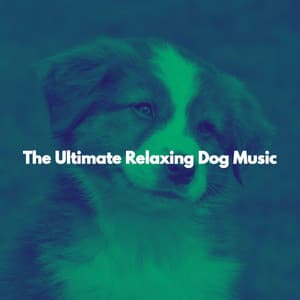 The Ultimate Relaxing Dog Music - Easy Instrumental Jazz
