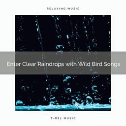 ! ! ! ! ! ! Enter Clear Raindrops with Wild Bird Songs - Ambient Rain