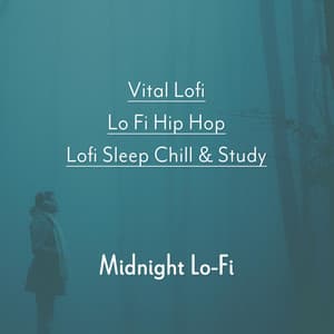 Midnight Lo-Fi - Vital Lofi