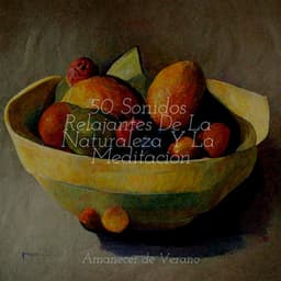 50 Sonidos Relajantes De La Naturaleza Y La Meditación - Música Relajante para Bebés