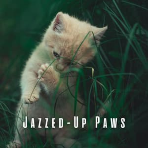 Jazzed-Up Paws: Calming Coffee Shop Lounge Vibes for Cats - Chill Cafe Music