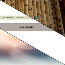 Flute Solitude: Music for Personal Reflection - Relaxing Flute Music