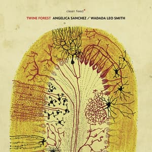 Twine Forest - Angelica Sanchez