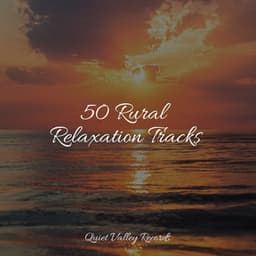 50 Rural Relaxation Tracks - Spa Zen