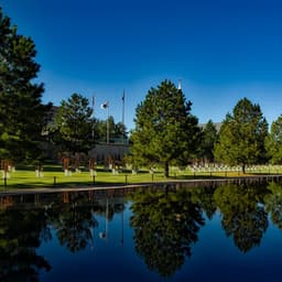 Mellow Soundscapes | Sleep - Study Concentration