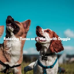 Relaxing Tunes on a Walk with Doggie - Calm Dog Music