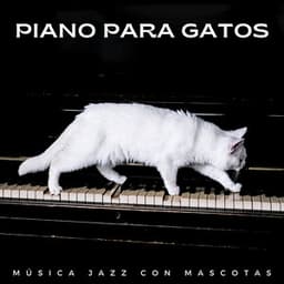Piano Para Gatos: Música Jazz Con Mascotas - Gato de piano