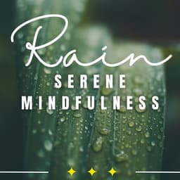Meditative Rainfall: Zen Soundscapes - 1 Hour Meditation