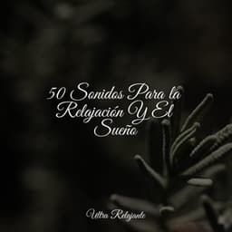 50 Sonidos Para la Relajación Y El Sueño - El hada de las canciones de cuna