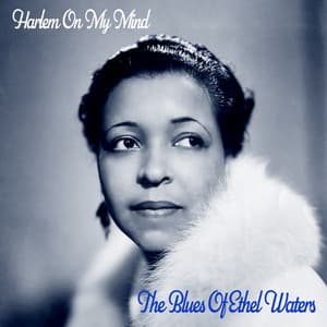 Harlem on My Mind! - The Blues of Ethel Waters - Ethel Waters