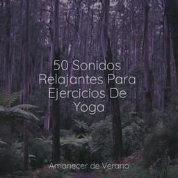 50 Sonidos Relajantes Para Ejercicios De Yoga - Rockabye Lullaby