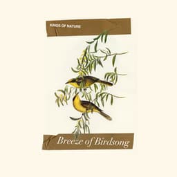 Breeze of Birdsong - Kings of Nature