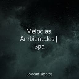 Melodías Ambientales | Spa - Mantra para Dormir