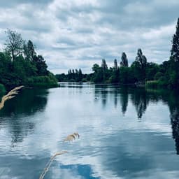 Waste the Week  | Resting Under the Trees - Nature Sounds