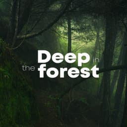 Deep In The Forest - ASMR Rain Sounds