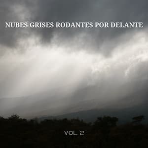 Nubes Grises Rodantes Por Delante Vol. 2 - Mascotas tranquilas