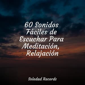 60 Sonidos Fáciles de Escuchar Para Meditación, Relajación - Música Instrumental Maestro