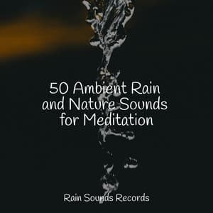 50 Ambient Rain and Nature Sounds for Meditation - Natureza