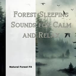 Forest Sleeping Sounds for Calm and Relax - Natural Forest FX