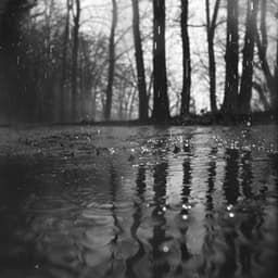 Meditación De Trueno: Música Para La Serenidad - Chakra Meditación Universo