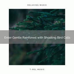 ! ! ! ! ! ! ! ! ! ! Enter Gentle Rainforest with Shooting Bird Calls - Heavy Rain Sounds
