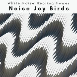 3 2 1 Noise Joy Birds - White Noise Healing Power