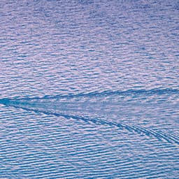 1 Coastal Night: Oceanic Calm - Seascapers