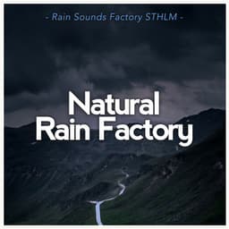 Natural Rain Factory - Rain Sounds Factory STHLM