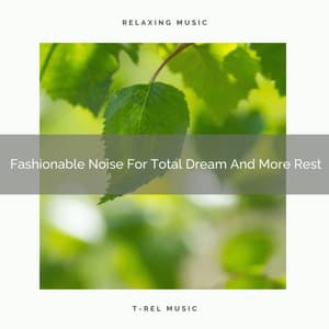 Fashionable Noise For Total Dream And More Rest - Baby Shusher And Lullaby