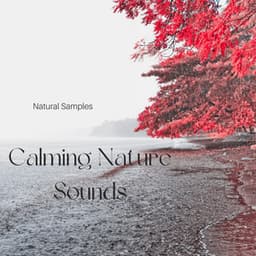 Calming Nature Sounds - Natural Samples