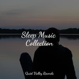 Sleep Music Collection - Water Spa