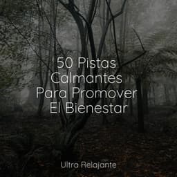 50 Pistas Calmantes Para Promover El Bienestar - Sonido de lluvia