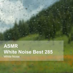 White Noise ASMR Best 285 - White Noise