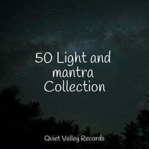 50 Light and mantra Collection - Sonidos de la Naturaleza