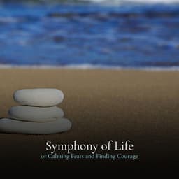 * Symphony of Life for Calming Fears and Finding Courage * - Relaxing Collection