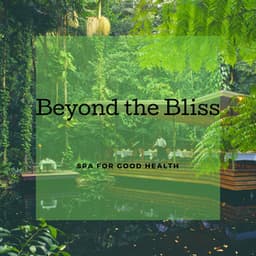 Beyond the Bliss - Spa for Good Health - Anuradha Bandopadhyay