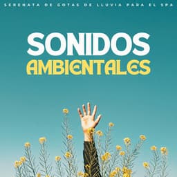 Sonidos Ambientales: Serenata De Gotas De Lluvia Para El Spa - Registradores de lluvia