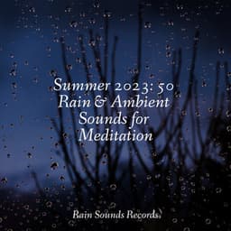 Summer 2023: 50 Rain & Ambient Sounds for Meditation - Sons da Natureza