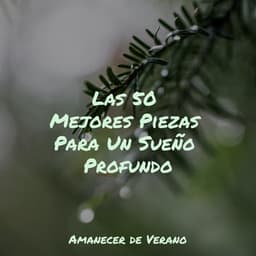 Las 50 Mejores Piezas Para Un Sueño Profundo - Smart Baby Lullaby