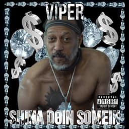 SHINA DOIN SOMEIN - Viper